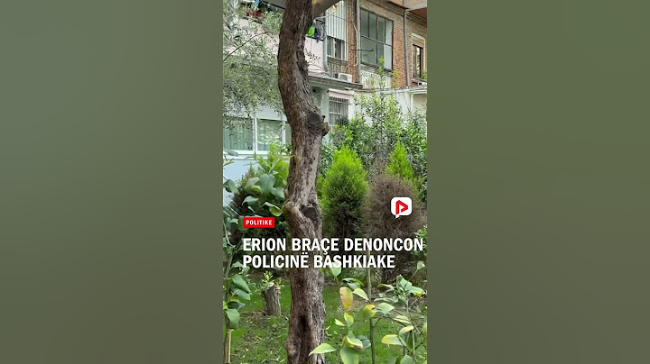 Erion Braçe denoncon Policinë Bashkiake