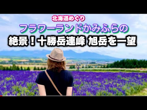 【北海道上富良野町】フラワーランドかみふらの  パノラママウンテンビューの絶景！四季ごとに違うお花畑を楽しもう❤️ 1泊2日美瑛・富良野方面の旅 part6