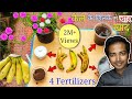 How to Easily make banana peel fertilizer for any plants