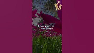 📖سورة هود🎙️ماهر المعيقلي