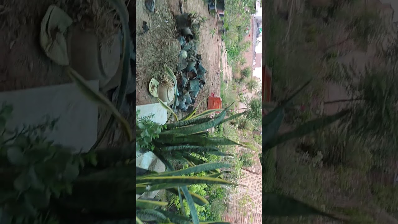 baba nursery. 7452956634