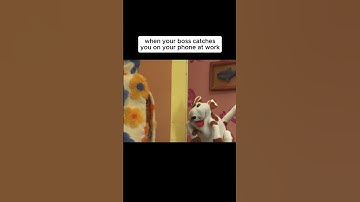 The cat videos just called to me I swear #nanalan #wonderfulgirl #puppets #funny #mona #ally