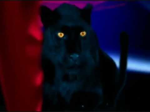 فاصل جديد 1 قناة دبي وان الإماراتية من تقليد قناة أمبيسي 2 السعودية عام 2007 2010 2023 الآن 