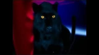 فاصل جديد #1 قناة دبي وان الإماراتية (من تقليد قناة أمبيسي 2 السعودية عام 2007-2010) - (2023-الآن)