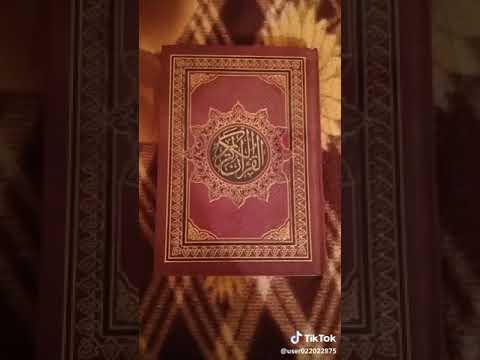 الف بأن الكريم ولية يحبوا يحط اعجب