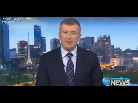 Snake Escape - Python Escapes then Found in Chicken Coup trying to eat chickens in Melbourne