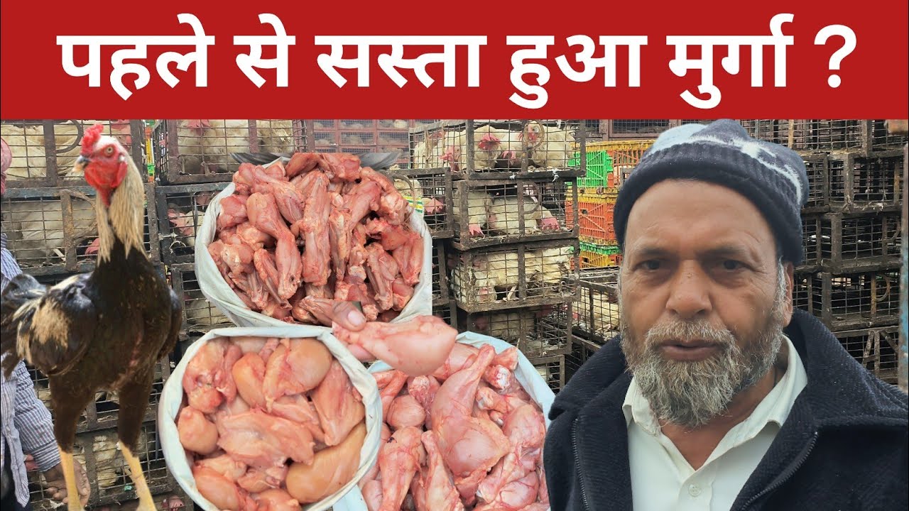 Today chicken rate in Delhi | Wholesale chicken market | Ghazipur murga Mandi