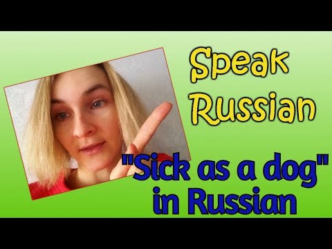 Speak Russian( УСТАЛА КАК СОБАКА/Sick as a dog )