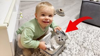 Adorable Boy Tries to Find a Name for Kitten