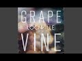 Grapevine (feat. Sabi) (Radio Edit)