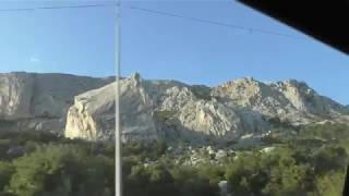 Рувим и Горец едут к своим владельцам_Английский кокер спаниель в семье Билых Рувим и Горец едут к своим владельцам_Английский кокер спаниель в семье Билых