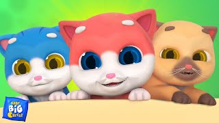 five little kittens learn to count numbers for kids by baby big cheese