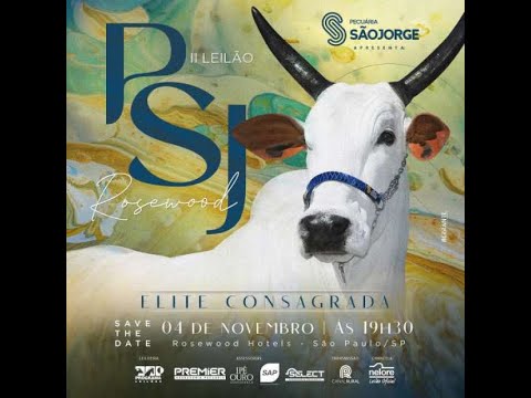 Lote 29   Lucena FIV HVP   HVP 6047