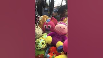 Seal SQUEEZE Grab Claw Machine Win at Walmart 😨 #shorts