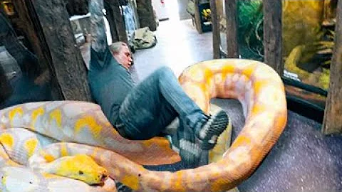 INJURED WHILE HANDLING AN 18 FOOT GIANT SNAKE!! | BRIAN BARCZYK