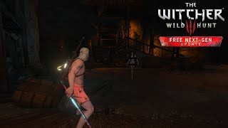 Геральт 13 уровня и брукса в Корво Бьянко / The Witcher 3: Wild Hunt. Next-Gen Update