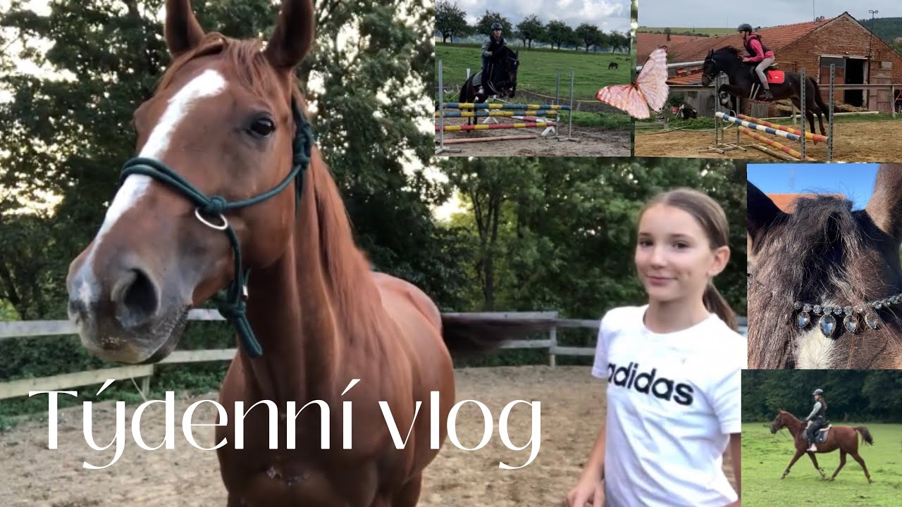 Týdenní vlog💗(nová čelenka, šílení koníci,…)