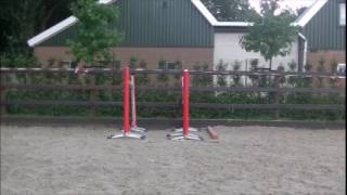3yo KWPN loosejumping