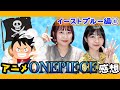 【アニメ ワンピース】人生で初めてアニメを見た感想!イーストブルー編1