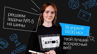 Решаем задачи №1-5 на шины | ОГЭ МАТЕМАТИКА | Онлайн-школа СОТКА