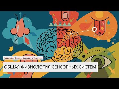 Лекция 18. Общая физиология сенсорных систем