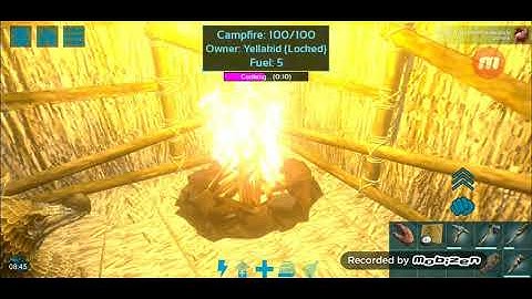 How to breed and tame Mutated dodo