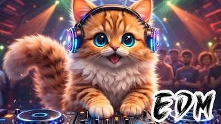 Get Ready for Tonight | Future EDM Song | Good Vibes & Party Beats 🙌