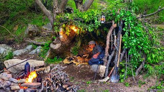 Building of a shelter inside a Giant tree_Bushcraft SURVIVAL Camping _ Outdoor Cooking.