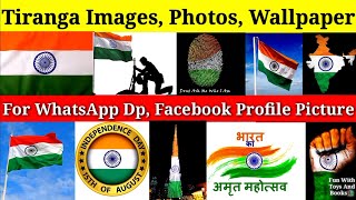 Tiranga Dp, Indian Flag Images, Photos, Wallpapers For WhatsApp Dp, Status, Facebook Profile Picture screenshot 3
