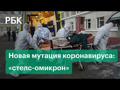 Новая заразная разновидность коронавируса «стелс-омикрон» может накрыть Россию в середине февраля