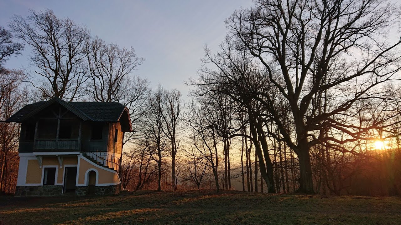Wanderung: Neuwaldegg - Sophienalpe - Neuwaldegg