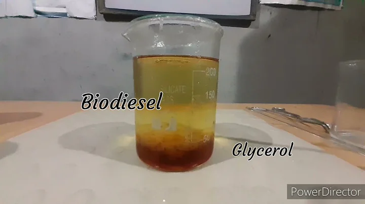 How to make biodiesel