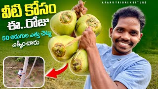 ఇదీ..మా చిన్నప్పటి జ్ఞాపకం || కొబ్బరి బోండాం కోసం 50 అడుగుల ఎత్తు చెట్టు ఎక్కాను 😥🤩