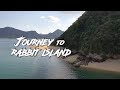 Journey to Rabbit Island! - Okunoshima in 4K