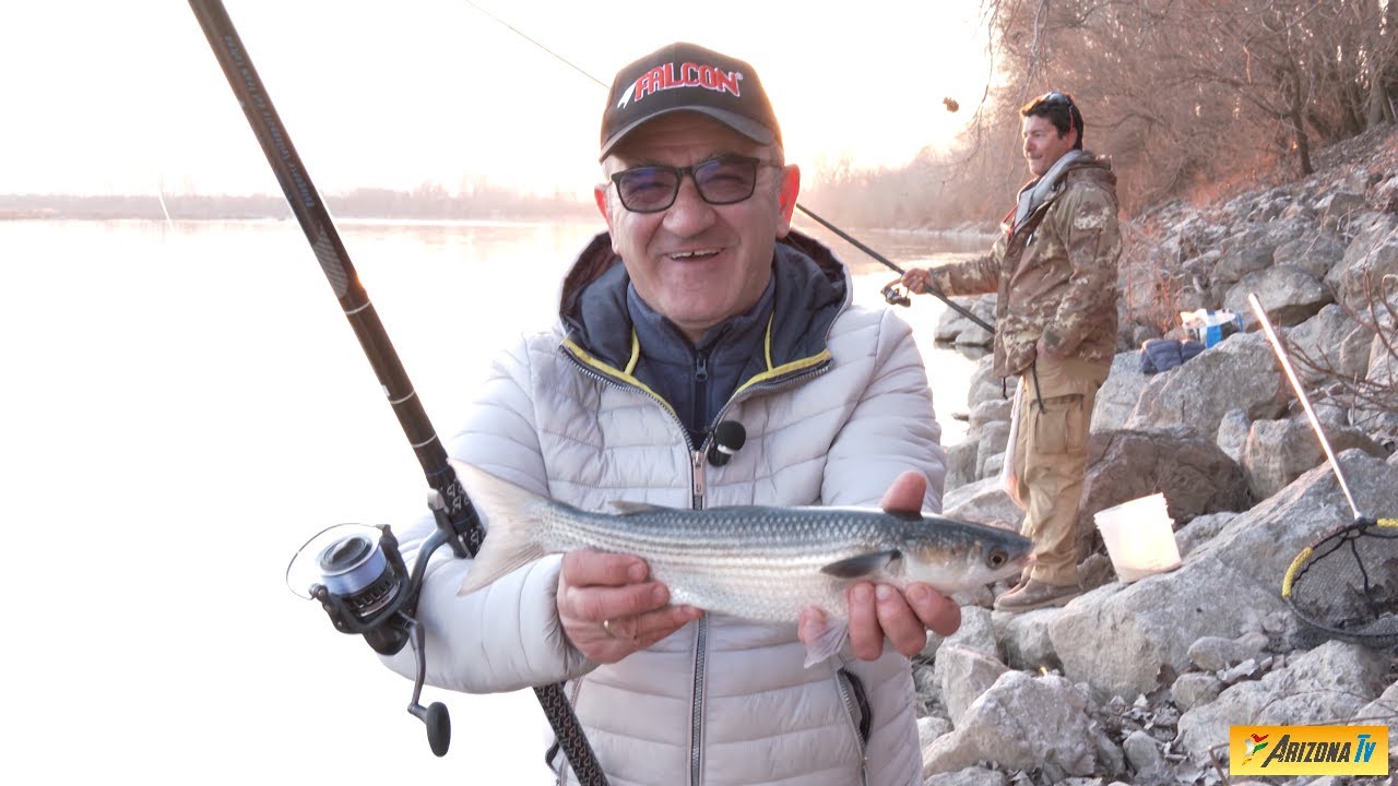 MONDO PESCA - LE MERAVIGLIE DEL PO - CEFALI A FEBBRAIO - ASPIO BREME CEFALI - #pesca #fisherman