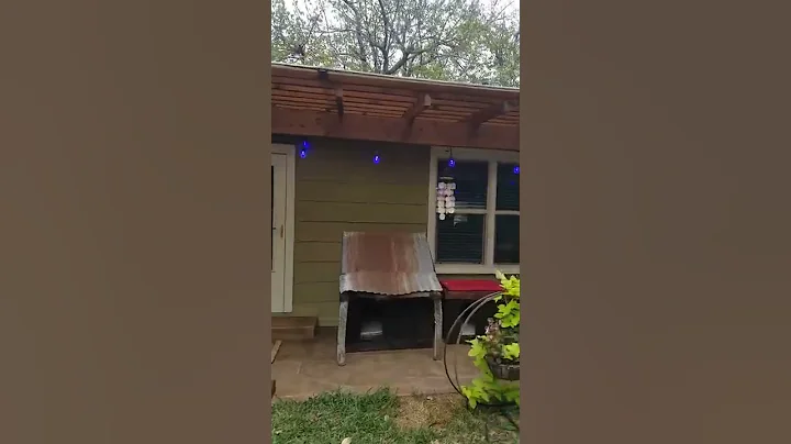 PATIO 2020