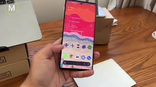 Pixel 6 Pro Touchscreen Stopped Working