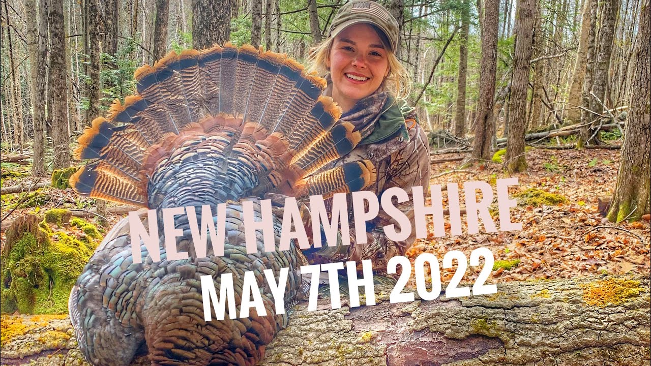 Shannon's 2022 NH Turkey YouTube