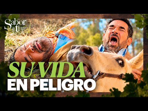 Maximiliano suffers a heart attack | Sabor a ti | Chapter 3