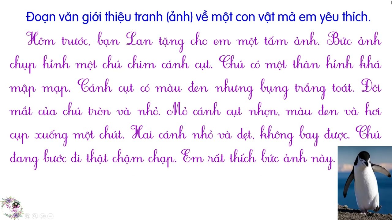 Tập làm văn lớp 2 | Tuần 23| Viết đoạn giới thiệu tranh ảnh về một con vật mà em yêu thích