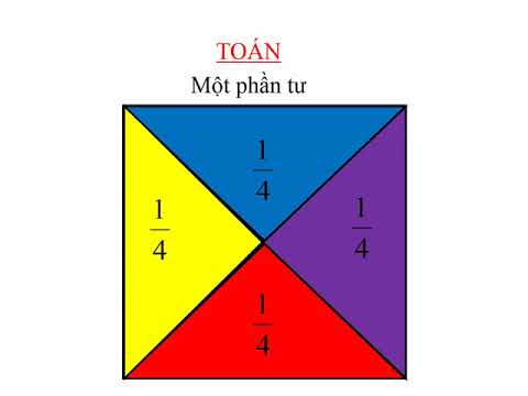 Toán 2 Tuần 24: Một Phần Tư