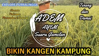 Adem Ayem Suara Gamelan Bikin Kangen KAmpung, Suasana Pedesaan PerSawahan di Kampung