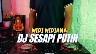 DJ Remix Sesapi Putih - Widi Widiana Viral Tiktok 2024