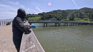 Fishing Halibut at Paradise Beach