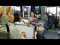 Bus 210 bus argument on Crenshaw Boulevard