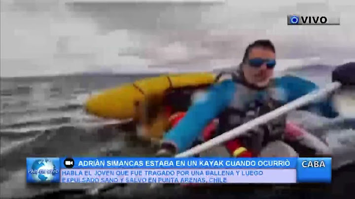 UNA BALLENA SE TRAGA A UN JOVEN EN EL ESTRECHO DE MAGALLANES Y LUEGO LO EXPULSÓ SANO Y SALVO