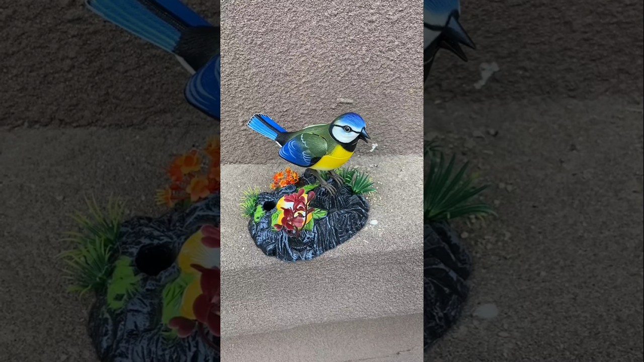 Heartful Musical Birds ❤️ 