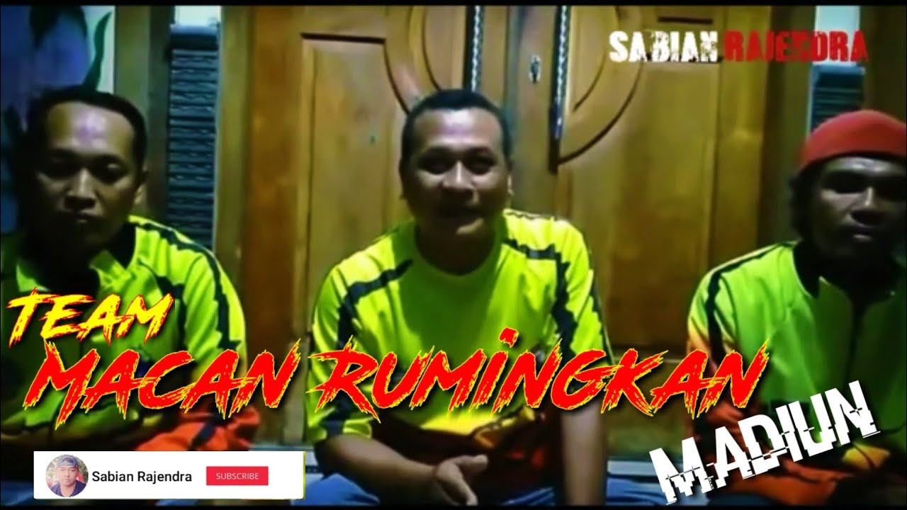 GREBEK kandang Merpati balap Team MACAN RUMINGKAN madiun 