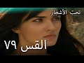79سنوات الضياع 79سنوات الضياع