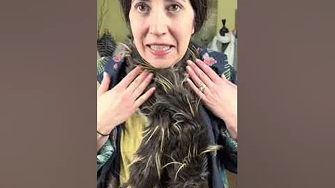 Marigold TV: Magnolia Pearl & Caron Miller scarves!